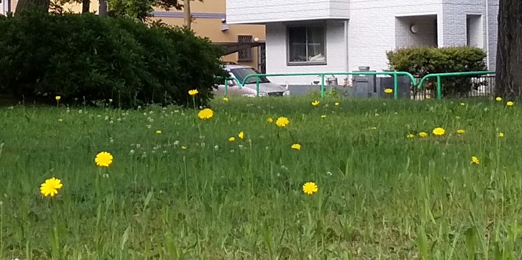 Jisibari